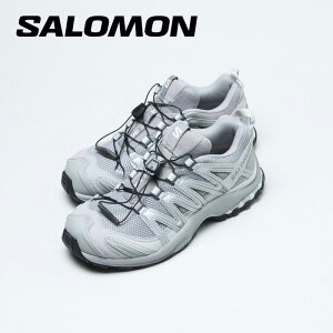 Salomon (�T������) XA PRO 3D / ALLOY / FTW SILVER / LUNAR ROCK