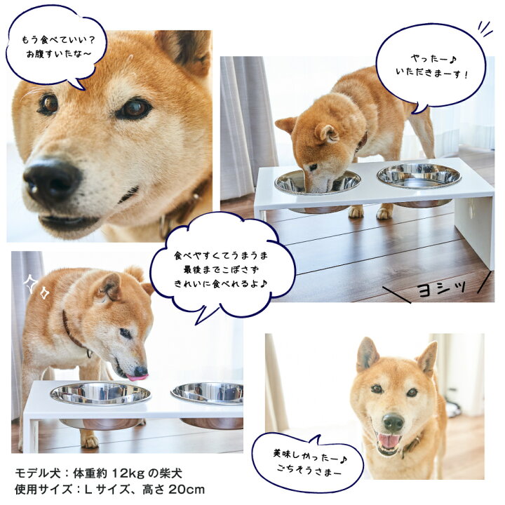 楽天市場 ずっと使えるいいものを高さが選べる L大型犬 エサ入れ2口食器付 2フードテーブル 食器スタンド水飲み 水入れ 大型犬 いぬ ペット餌入れ おしゃれ オーダー ごはん 送料無料 ヘルニア予防 食器台 名前入れ 人工大理石専門店 I Craft 楽天市場 ずっと使えるいいものを高さが選べる L大型犬 エサ入れ2口食器付 2フードテーブル 食器スタンド水飲み 水入れ 大型犬 いぬ ペット餌入れ おしゃれ オーダー ごはん 送料無料 ヘルニア予防 食器台 名前入れ 人工大理石専門店 I Craft