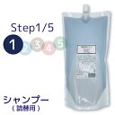 Queen hair Shampoo 2000ml　美容室専売 ノンシリコン シャンプー ヘマチン 詰め替え 2000ml 美容室 おすすめ ダメージケア