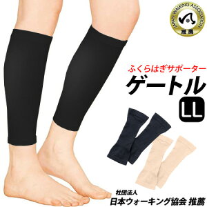y[zy{zӂ͂ T|[^[ Q[g yLLTCYzx[W ubN ނݖh~  ӂ͂T|[^[ ނ  X|[c WMO EH[LO T|[g 