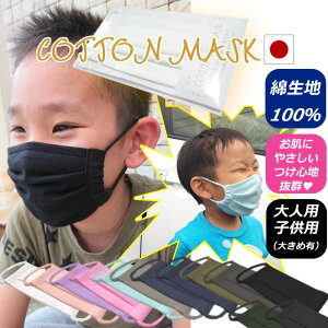 プリーツ 日本製 洗えるマスク マスクの人気商品 通販 価格比較 価格 Com