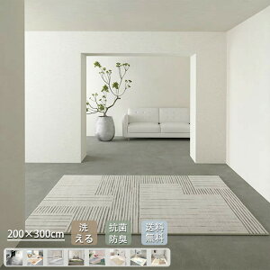 �􂦂� ���O 200×300 160×230cm 2�� 3�� ���O�J�[�y�b�g ����~�� �k�� ���O�}�b�g ������� ���O ���イ���� �t �� �I�[���V�[�Y�� ���O�J�[�y�b�g �O�~ ���r���O �؍��C���e���A �q������ �Q�� 