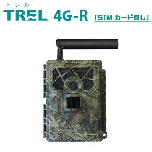 TREL(g)@4G-RySIMJ[hȂz{ꃂf4GʐM@\tBeJ(ZT[J)yE萔z