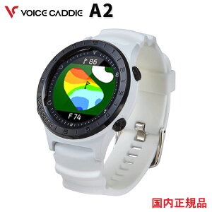 Voice Caddie A2 ({CXLfB[A2jrv^StirO[AW[V{SE萔@Ki@1Nۏؕt