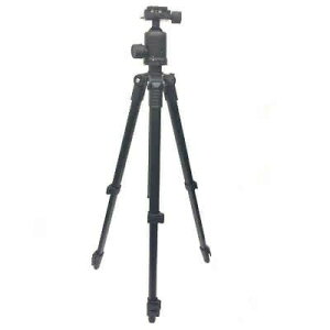 Kestrel ܂肽ݎyʎOrKestrel PXg v