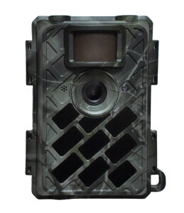 SG-031 LpYځ@(p̂) BeJ(ZT[J){SE萔