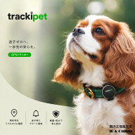 ペット用 GPS 発信機 Trackipet トラッキペット (3ヶ月通信費用込み) TRKI006-T 犬 猫 大事なペットの見…