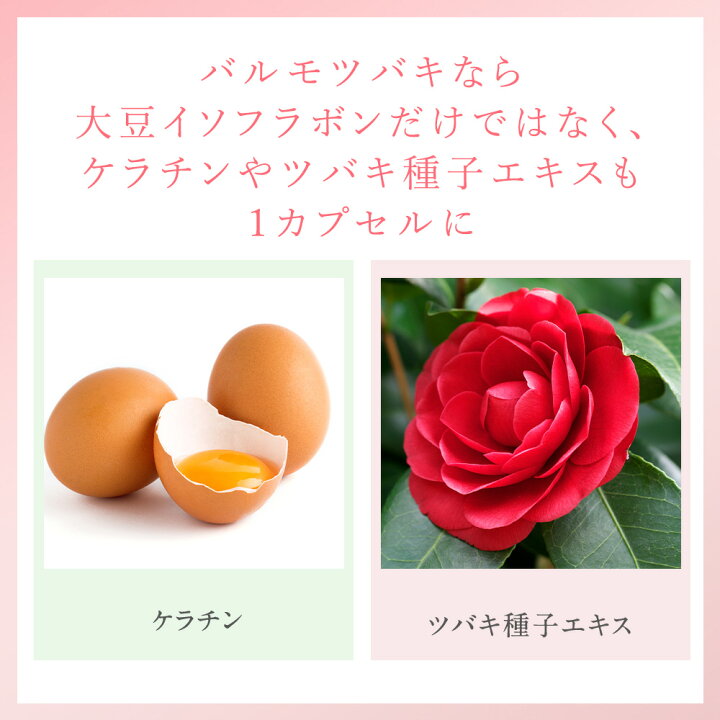 楽天市場】10%OFF 【定期購入】Balumo TSUBAKI （ バルモ ツバキ 