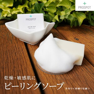 [Gg[őP23{3023:59 }f]PROSPOT s[O\[v 60gye畆 z }Chs[O DJI I[KjbNF؃VA  q  Ό ϕi hN^[YRX