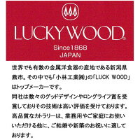 カトラリーセットラッキーウッドNo16000スカンジナビアディナーセット(6客用)24pc