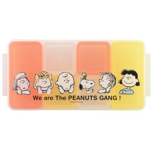 Xk[s[ L[uXgbJ[ 6Zbg ۑe