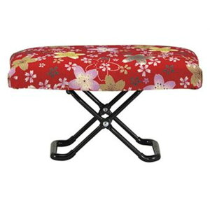  -ꂢ- ֎qijTCY Вܕt