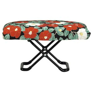  -ꂢ- ֎qiցjTCY Вܕt