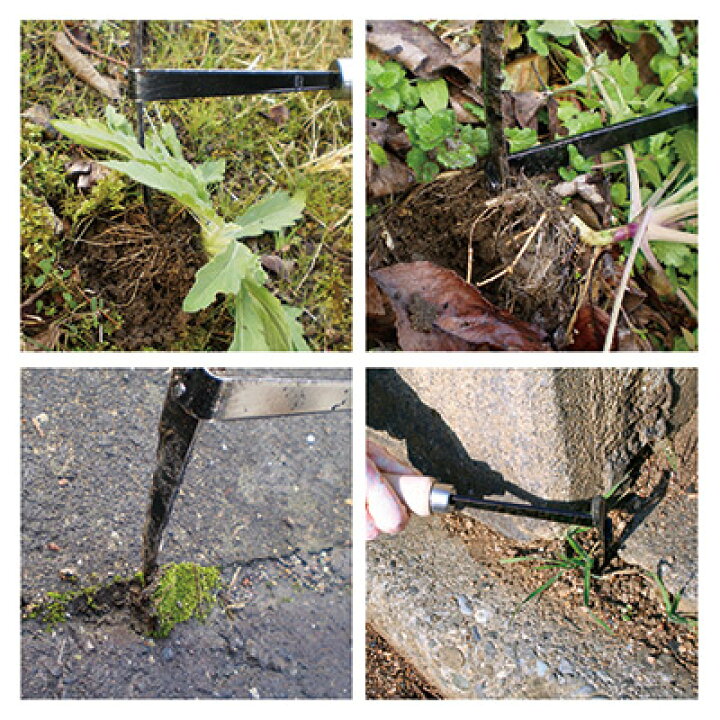 楽天市場 深く突き刺してズボっと取る 雑草 雑草取り 雑草抜き 雑草防止 花壇 田畑 草抜き 除草剤 雑草対策 草むしり 道具 ガーデニング 雑草 処理 日本製 T型草取り鎌 アイデア百選会