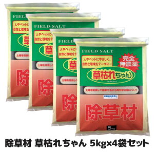 yz gȂI1オႤ S@S@@G@K[fjO { ށ@͂ꂿ 5kg×4܃Zbg