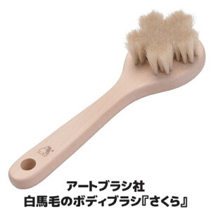 uV60]N̐ElluV v[g 蕨 hV̓ { A[guVА@nт̃{fBuV 