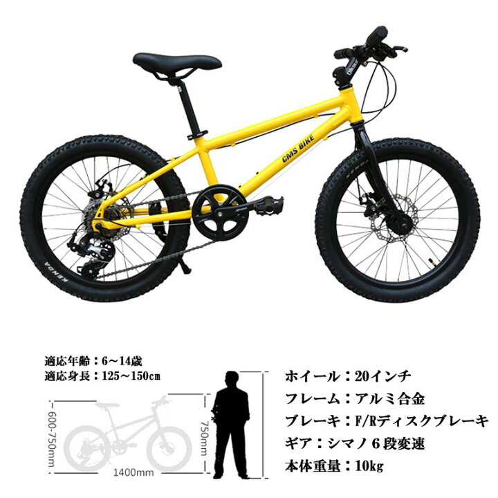 自転車 ジュニアスポーツ 20因子ｔ