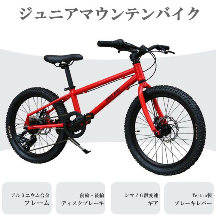 自転車 ジュニアスポーツ 20因子t