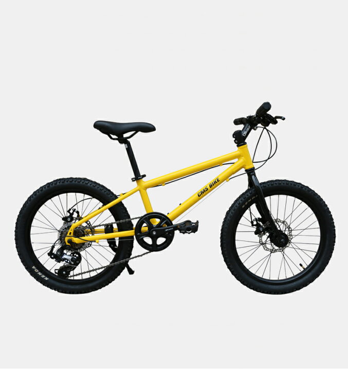 楽天市場】ジュニア マウンテンバイク 20インチ 自転車 シマノ6段変速 