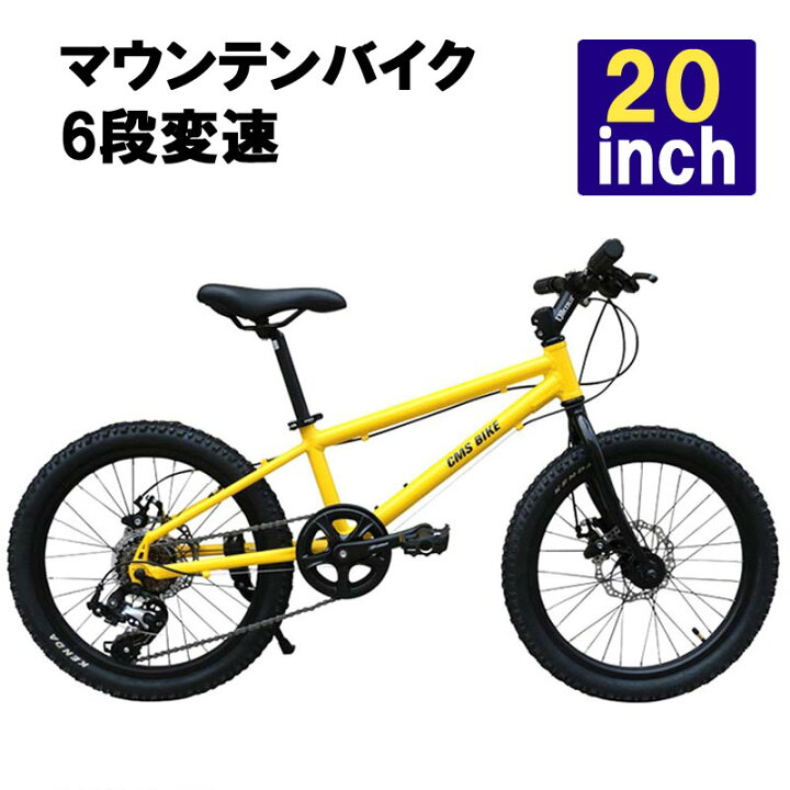 自転車 ジュニアスポーツ 20因子t