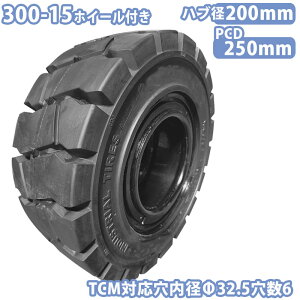 tH[Ntg ^C Vi m[pN^C zC[tłg Zbg 1{ 300-15^C ta32.5mm×6 nua200mm PCD250mm ubN  m[pN YƎԗ tH[Ntgpm