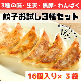 《お試しサイズ》餃子お試しセット [餃子3種] しょうが餃子 黒豚にんにく餃子 わんぱく餃子 小分けセットにしました 試食 サンプル 生姜 ギョーザ 単身世帯 一人暮らし 仕送り 餃子パーティ 餃子 冷凍 イデア食品館 神戸餃子楼