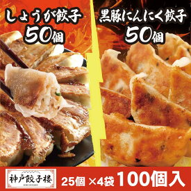 しょうが餃子50個 黒豚にんにく餃子50個 100個セット 餃子 25個入り4袋 送料無料 九州産黒豚 鍋 スープ餃子 餃子 冷凍 水餃子 蒸し餃子 黒豚 国産 ぎょうざ 冷凍餃子 gyoza 神戸餃子楼 イデア食品館