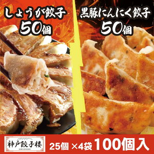 傤Lq50 ؂ɂɂLq50 100Zbg Lq 254  BY  X[vLq Lq Ⓚ Lq Lq  Y 傤 ⓀLq gyoza _LqO CfAHi
