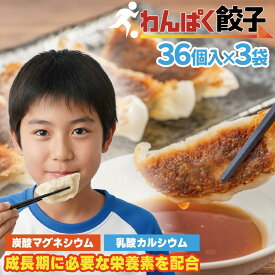 わんぱく餃子 108個 チャック袋入り (36個×3袋) 神戸餃子楼 カルシウム マグネシウム 栄養 ギョーザ ジュニアアスリート シニア 補助　偏食 サプリ 体作り プロテイン 餃子 冷凍 惣菜 おつまみ 冷凍餃子 送料無料 イデア食品館