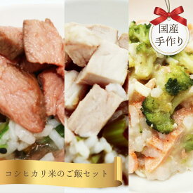 楽天市場 高級 ご飯 犬の通販