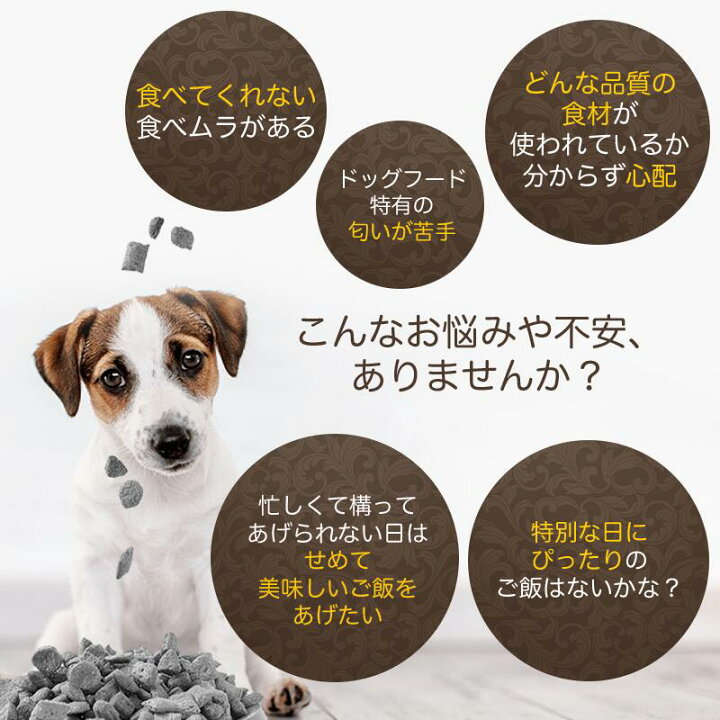 楽天市場 犬 ふりかけ 国産 蝦夷鹿と野菜の自家製ふりかけ 犬用 トッピング 鹿 鹿肉 エゾ鹿 蝦夷鹿 野菜 食い付き 食欲 食べない 手作り ペット おやつ 犬のおやつ タンパク質 たんぱく質 シニア 栄養 誕生日 プレゼント 30g Idea Dog Chef 楽天市場店