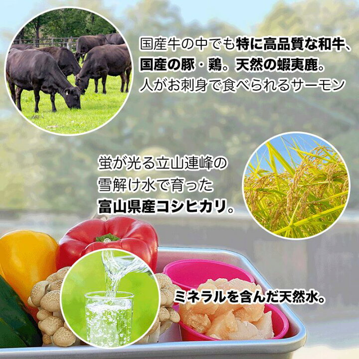 楽天市場 犬 ごはん 無添加 国産鶏とサーモンのセット 犬用 ご飯 手作り ドッグフード シニア 消化 水分 ダイエット トッピング 誕生日 プレゼント ペット フード 国産 チキン サーモン 犬のご飯 犬のごはん クリスマス Idea Dog Chef 楽天市場店