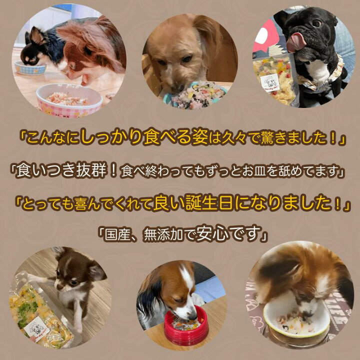 楽天市場 本日p2倍 ドッグフード 無添加 国産 初回お試しセット 犬 ご飯 ごはん 犬用 誕生日 プレゼント ギフト バースデー 記念日 シニア 食べない 食欲 トッピング 高齢犬 犬のごはん 犬のご飯 ペット フード 手作り ディナー ビーフ チキン Idea Dog Chef