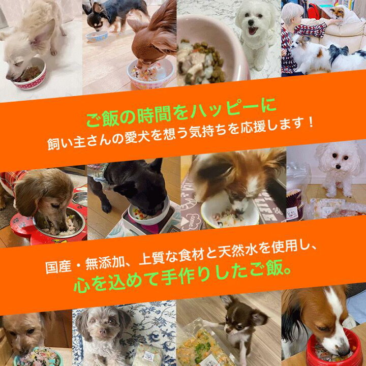 楽天市場 犬 ふりかけ 国産 蝦夷鹿と野菜の自家製ふりかけ 犬用 トッピング 鹿 鹿肉 エゾ鹿 蝦夷鹿 野菜 食い付き 食欲 食べない 手作り ペット おやつ 犬のおやつ タンパク質 たんぱく質 シニア 栄養 誕生日 プレゼント 30g Idea Dog Chef 楽天市場店