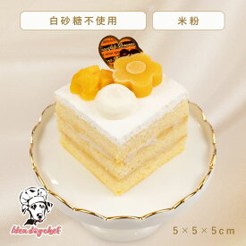 同時購入1000円OFF 犬用 ケーキ 無添加 【マンゴーのショートケーキ】 犬 誕生日 プレゼント バースデー 記念日 おやつ スイーツ 犬のケーキ 手作り ペット フード 小型犬 中型犬 米粉 ハロウィン クリスマス