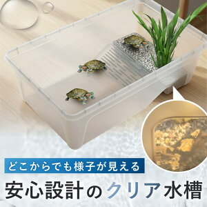 ideamall T  J T̐ ^[g{bNX Q[W ЂȂڂ  P[X {bNX