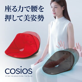 ボードクッション cosios(コシオス) 柔道整復師推奨 背筋 骨盤 お尻 支える 男女兼用 送料無料　※北海道・沖縄・離島は出荷不可