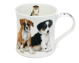 楽天市場 ダヌーン 犬の通販