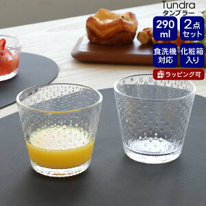 Cb^ ch ^u[ y290ml×2zyA NA iittala Tundra Mtg j v[g 蕨  H Jg[ Lb`pi Rbv k mfBbN ICoEgCbJ K