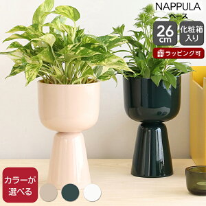 Cb^ ibv vg|bg 260x155mm iittala NAPPULA yx[X ԕr Mtg j v[g 蕨  mfBbN kzyCeAzyiittala Cb^zyMtgz