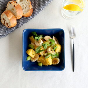 Cb^ eB[} XNGA v[g 16×16cm yϔM dqWΉ M Mtg j v[g  蕨 mfBbN kzyH Jg[zyiittala Cb^zyMtgz