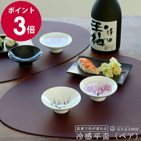丸モ高木陶器 冷感 平盃 ペア（2個入り） セット 【日本酒 日本製 ギフト 結婚祝い プレゼント 贈り物 バレンタイン 食器セット ギフトセット 和食器 新生活】【プレゼント ギフト】【食器 カトラリー】【ギフト】
