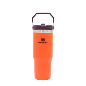 y500~OFFN[|zzzX^[ ACXt[tbvXg[ ^^u[ 880ml STANLEY IceFlow Flip Straw Water Bottle yAEghA Lv Ro X|[c X^C Stanley ۉ ۗ 