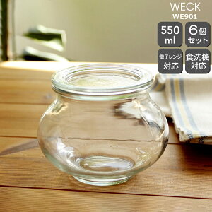 EFbN fRVFCv WE901 KXLjX^[ 550ml aMTCY 6Zbg yEFbNr ۑr ϔM dqWΉ  Mtg j v[g 蕨  MtgZbgz