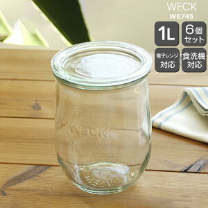 EFbN `[bvVFCv WE745 KXLjX^[ 1.0L aLTCY 6Zbg yEFbNr ۑr ϔM dqWΉ  Mtg j v[g 蕨  MtgZ