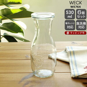 EFbN W[XW[ WE764 KXLjX^[ 530ml aSTCY 6Zbg yEFbNr ۑr ϔM dqWΉ  Mtg j v[g 蕨  MtgZbg