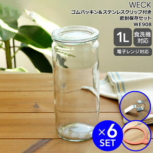 EFbN ۑZbg Xg[gVFCv WE908 KXLjX^[ 1.0L 6  SpbL WE002 6  XeXNbv 12 yEFbNr ۑr ϔM  Mtg j 蕨 