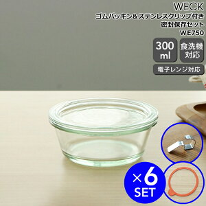 yN[|zzzEFbN OW[ KXLjX^[ 300ml aXLTCY WE750 yEFbNr ۑr ϔM dqWΉ  Mtg j v[g 蕨 zyL