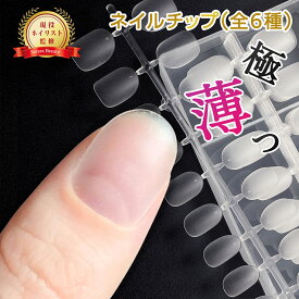 【100円OFFクーポン】【ネイルチップ 大容量300枚】 ショートオーバル・バレリーナ・ポイント 選べる6種類｜Sorara Beauty フレキシブルジェルチップ クリアチップ 長さ出し つけ爪 粘着グミ付きで簡単装着 セルフネイル・おうちネイルに EC