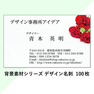 yzVJ[l[V/ԁ fUCh 100  쐬 pycarnationzyt[zyԉzy̓zyfޖhV[Yz